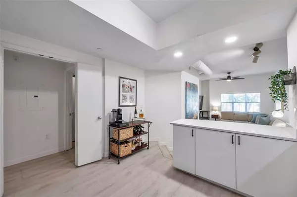 1 bedroom apartment for rent in Hyde Park Tampa - Central Tampa, Tampa