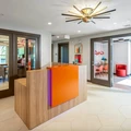 2 bedrooms apartment for rent in South Congress - South Central Austin, Austin