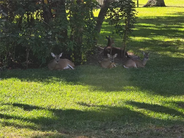 3 bedrooms apartment for rent in Sarasota Springs - Sarasota, Sarasota