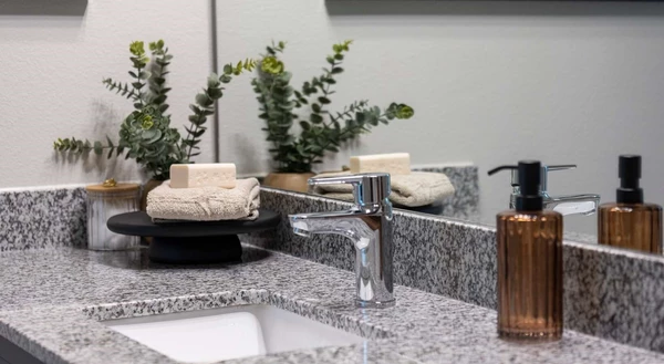 1 bedroom apartment for rent in Fourth Ward - Inner Loop, Houston