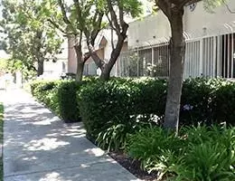 1 bedroom apartment for rent in Pico Union - Central Los Angeles, Los Angeles