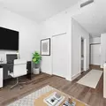 Studio Apartment for rent in Coconut Grove - Miami, Miami