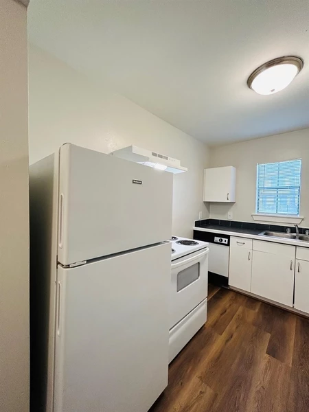 1 bedroom apartment for rent in Macgregor - Inner Loop, Houston