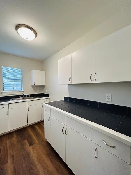 1 bedroom apartment for rent in Macgregor - Inner Loop, Houston