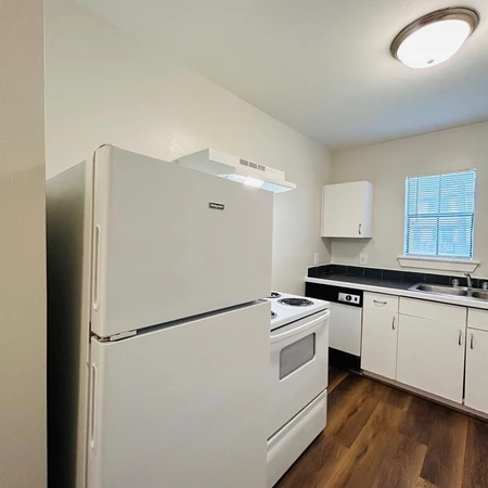 1 bedroom apartment for rent in Macgregor - Inner Loop, Houston