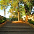1 bedroom apartment for rent in Macgregor - Inner Loop, Houston