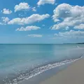 2 bedrooms apartment for rent in Osprey - Sarasota, Sarasota