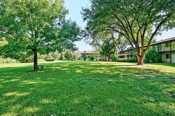 1 bedroom apartment for rent in Garrison Park - South Austin, Austin