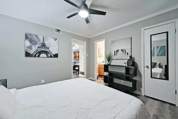 1 bedroom apartment for rent in Garrison Park - South Austin, Austin
