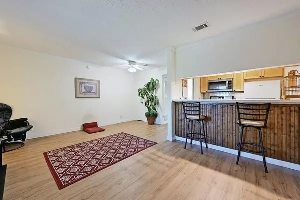 1 bedroom apartment for rent in Garrison Park - South Austin, Austin