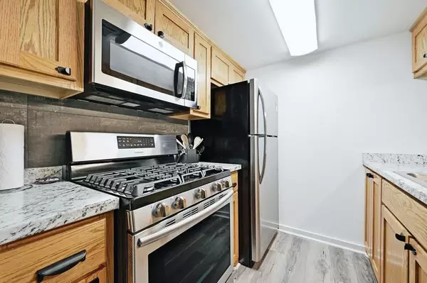 1 bedroom apartment for rent in Garrison Park - South Austin, Austin