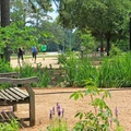 1 bedroom apartment for rent in River Oaks - Inner Loop, Houston