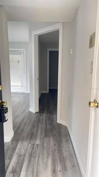 1 bedroom apartment for rent in Egypt Lake-Leto - North Tampa, Tampa