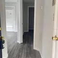 1 bedroom apartment for rent in Egypt Lake-Leto - North Tampa, Tampa