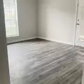 1 bedroom apartment for rent in Egypt Lake-Leto - North Tampa, Tampa