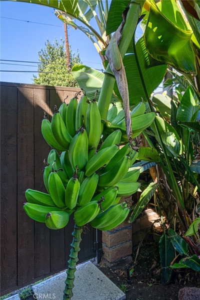 3 bedrooms apartment for rent in Hollywood - Central Los Angeles, Los Angeles