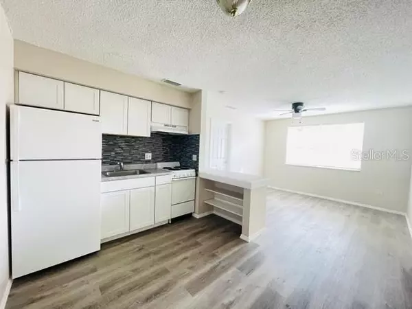 1 bedroom apartment for rent in Sulphur Springs - North Tampa, Tampa