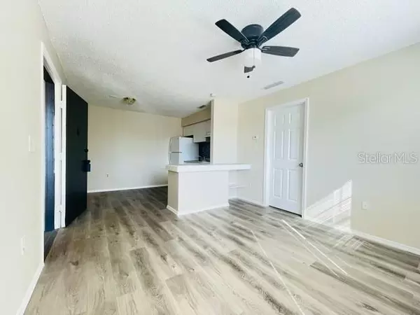 1 bedroom apartment for rent in Sulphur Springs - North Tampa, Tampa