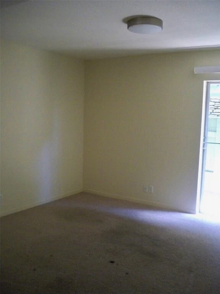 1 bedroom apartment for rent in Central East Austin - East Austin, Austin