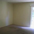 1 bedroom apartment for rent in Central East Austin - East Austin, Austin