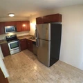 1 bedroom apartment for rent in Central East Austin - East Austin, Austin