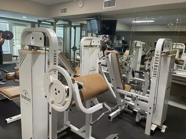 1 bedroom apartment for rent in Hyde Park Tampa - Central Tampa, Tampa