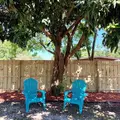 1 bedroom apartment for rent in Wadeview Park - Central Orlando, Orlando