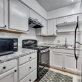1 bedroom apartment for rent in Braeswood Place - Inner Loop, Houston