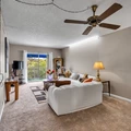 1 bedroom apartment for rent in Braeswood Place - Inner Loop, Houston