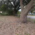3 bedrooms apartment for rent in Talleyrand - Downtown JAX, Jacksonville