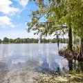 3 bedrooms apartment for rent in North Quarter - Central Orlando, Orlando