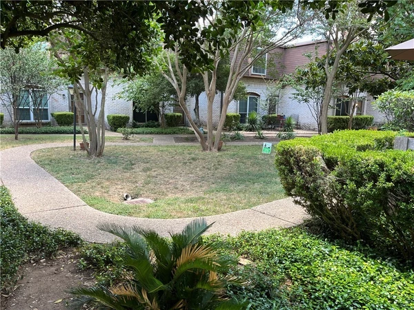 1 bedroom apartment for rent in North Shoal Creek - North Central Austin, Austin