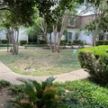 1 bedroom apartment for rent in North Shoal Creek - North Central Austin, Austin