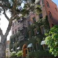 Studio Apartment for rent in Mid Wilshire - Central Los Angeles, Los Angeles