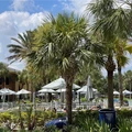 Studio Apartment for rent in Villas - Fort Myers, Fort Myers