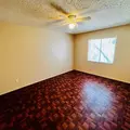 2 bedrooms apartment for rent in Temple Terrace - North Tampa, Tampa