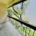 2 bedrooms apartment for rent in Temple Terrace - North Tampa, Tampa
