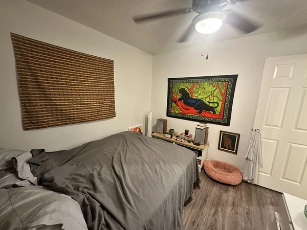 2 bedrooms apartment for rent in South Lamar - South Central Austin, Austin