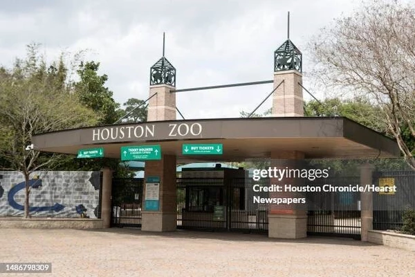 1 bedroom apartment for rent in Braeswood Place - Inner Loop, Houston