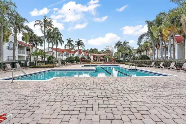 1 bedroom apartment for rent in Williamsburg - South Orlando, Orlando