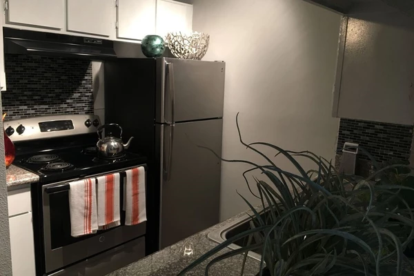 1 bedroom apartment for rent in Braeswood Place - Inner Loop, Houston