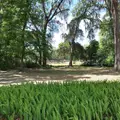 1 bedroom apartment for rent in University Heights - UF Area, Gainesville