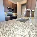 1 bedroom apartment for rent in Downtown Houston - Inner Loop, Houston