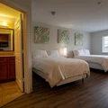 Studio Apartment for rent in North Houston - Nw Houston, Houston