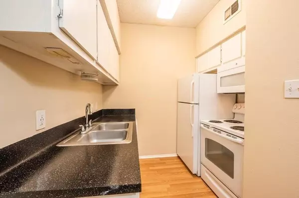 1 bedroom apartment for rent in Old West Austin - Central Austin, Austin