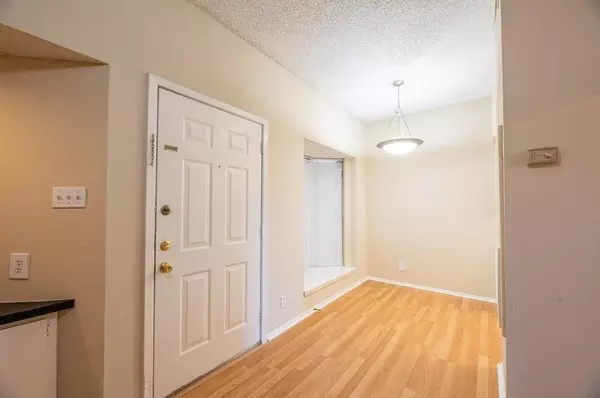 1 bedroom apartment for rent in Old West Austin - Central Austin, Austin