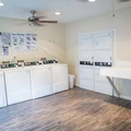 2 bedrooms apartment for rent in Braeswood Place - Inner Loop, Houston