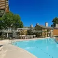 2 bedrooms apartment for rent in Barton Hills - South Central Austin, Austin