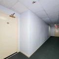 2 bedrooms apartment for rent in Braeswood Place - Inner Loop, Houston