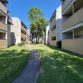 2 bedrooms apartment for rent in Braeswood Place - Inner Loop, Houston
